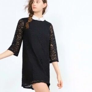 Zara Lace Shift Dress Peter Pan Collar Women's Medium Black White Preppy Classic